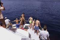 De las costas canarias zarpan las embarcaciones para ver cachalotes y otras especies. / VIAJES