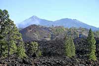 Desde el impresionante crter del Chinyero se domina parte del Parque Nacional del Teide. / NGEL HERNNDEZ