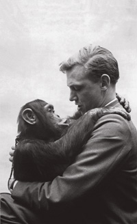 ICONO. Con una cra de chimpanc, en el primer programa de "Zoo Quest" (1954).