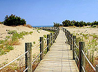 El paisaje del Delta del Ebro est poblado de dunas moduladas por el viento y el mar.