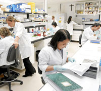 Un grupo de investigadores en los laboratorios de la Universidad de Navarra. (Foto: Unav).