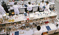 Vista general del laboratorio de Bioqumica de la Universidad Ramn Llul de Barcelona. (Foto: EL MUNDO)