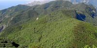 Vista general del macizo de Anaga con el denso bosque de laurisilva cubrindolo todo y las cimas del Teide adivinndose al fondo de la isla. / A. S. C. TENERIFE