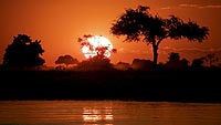 El sol, que despierta robusto y amarillo, acaba fundiéndose en rojo con su reflejo en las aguas del río Chobe. | F. Baeta