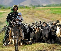 Las familias nmadas qashqais obtienen de sus rebaos de ovejas y chivos todo lo que necesitan para sobrevivir. | GETTY IMAGES