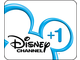Disney Channel +1