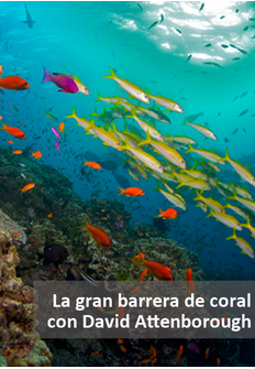 Documental: La gran barrera de coral con David Attenborough