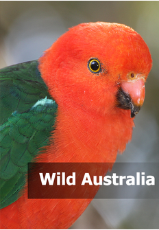 Documental: Wild Australia