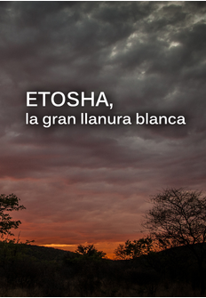 Documental: Etosha, la gran llanura blanca