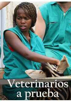 Documental: Veterinarios a prueba