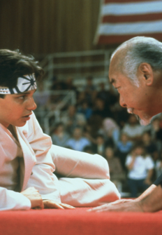 Karate Kid III: El desafo final