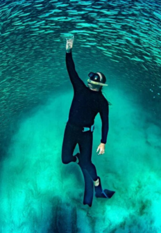 Carátula de Ningaloo. La maravilla del océano de Australia