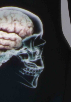 El vientre, nuestro segundo cerebro