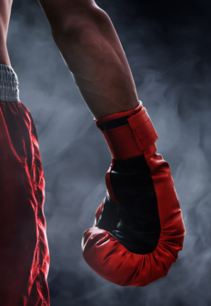 Boxeo: velada lvarez vs Kovalev