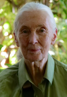Jane Goodall: nueva generacin
