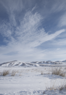 Wild Mongolia: tierra de extremos