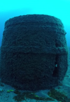 Canarias submarina