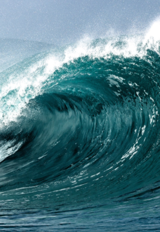 Tsunami: la ola que conmocionó al mundo Programación TV