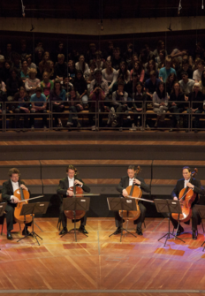Los 12 violonchelistas de la Filarmnica de Berln