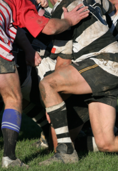 Rugby: Torneo 6 Naciones