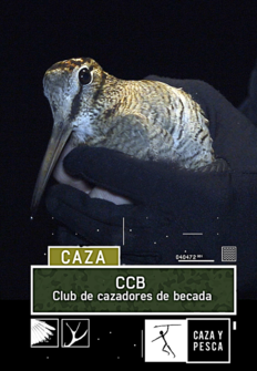 CCB: Club de Cazadores de Becada