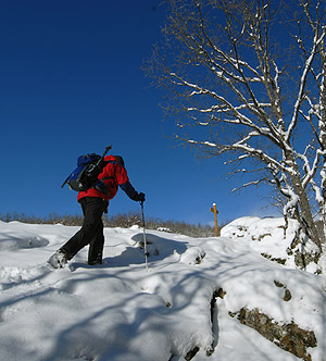 Un excursionista en el Alto Lozoya en la Sierra de Guadarrama (Foto: Marga Estebaranz)